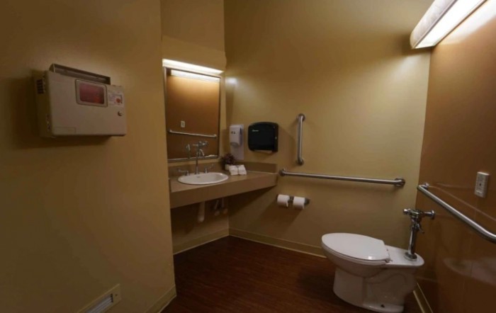 An accessible bathroom with a sink, toilet, mirror, and grab bars for support.