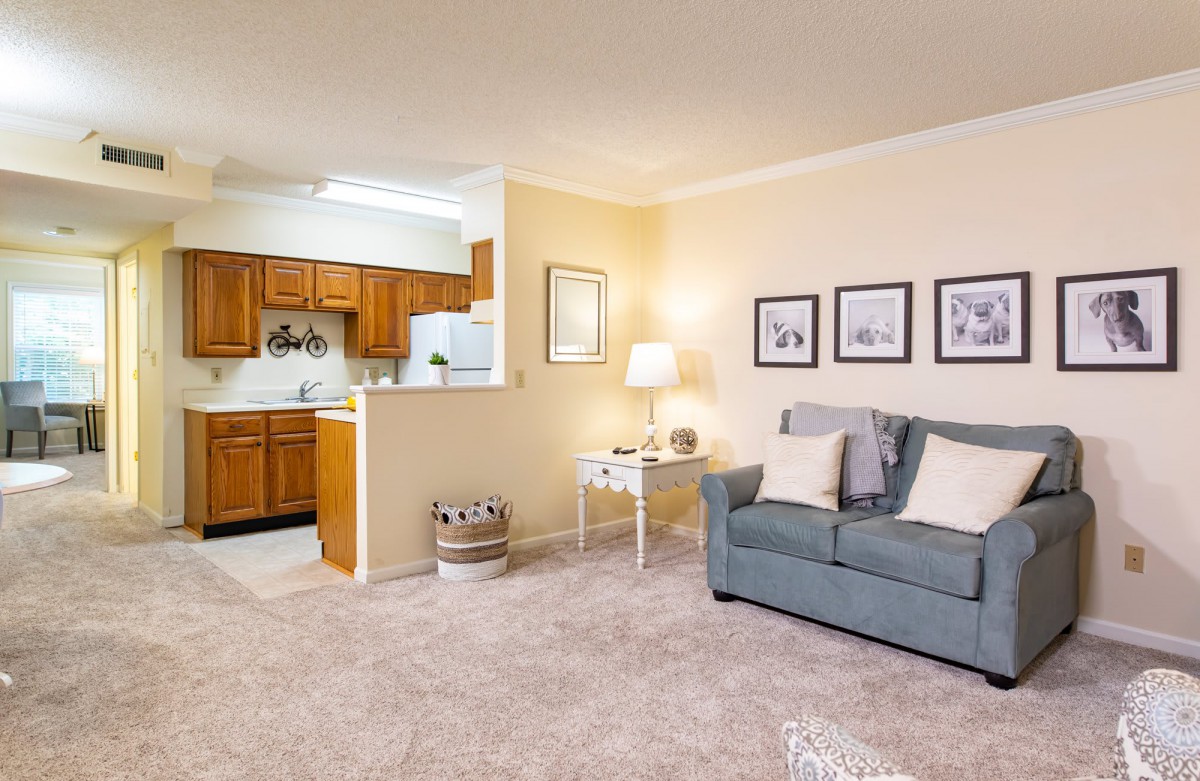 A cozy living room with an open floor plan leading into the kitchen, featuring a couch, carpeted floor, and warm lighting.