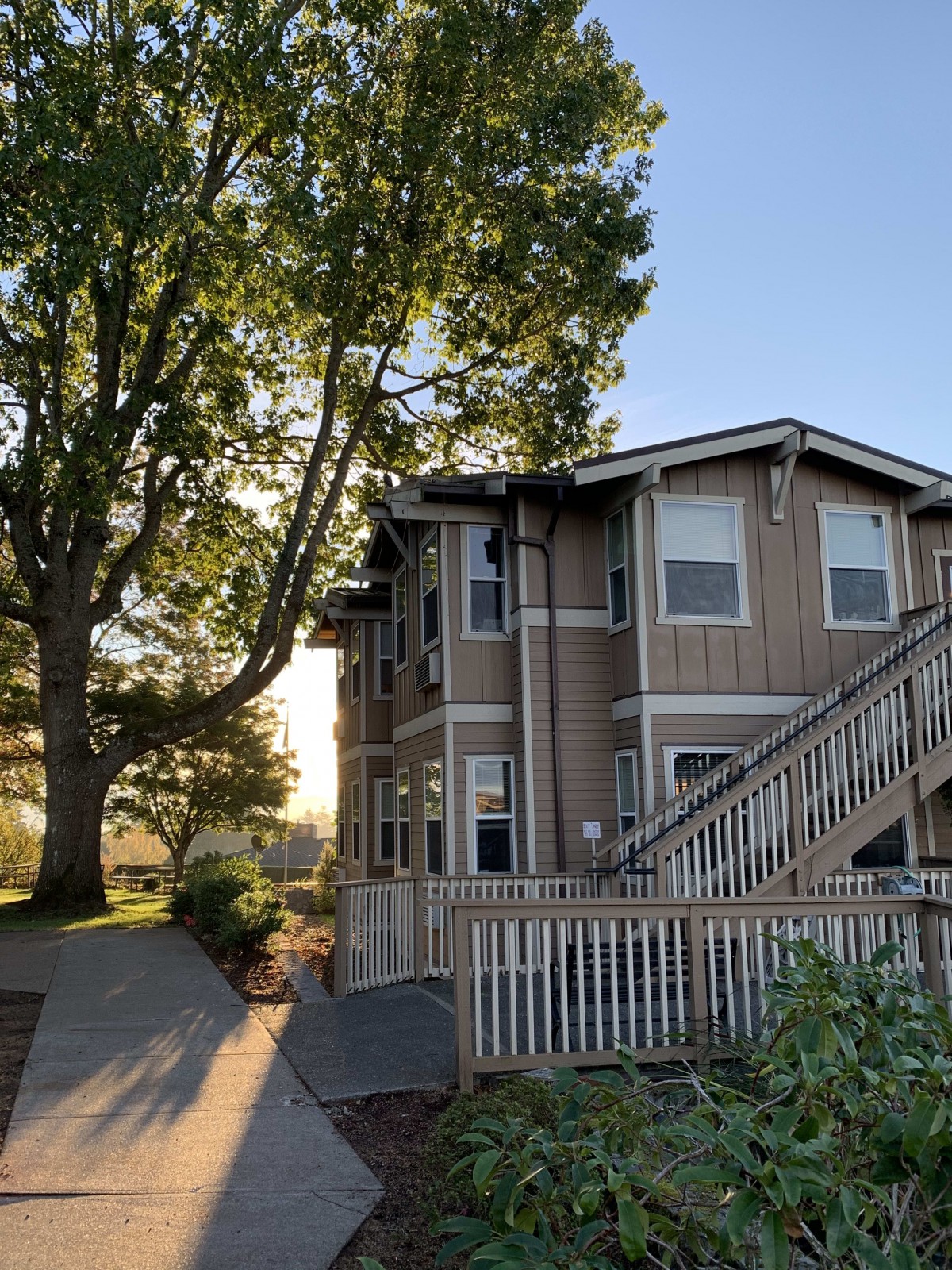 A two-story residential building with outdoor stairs and a large tree in the foreground during sunset.