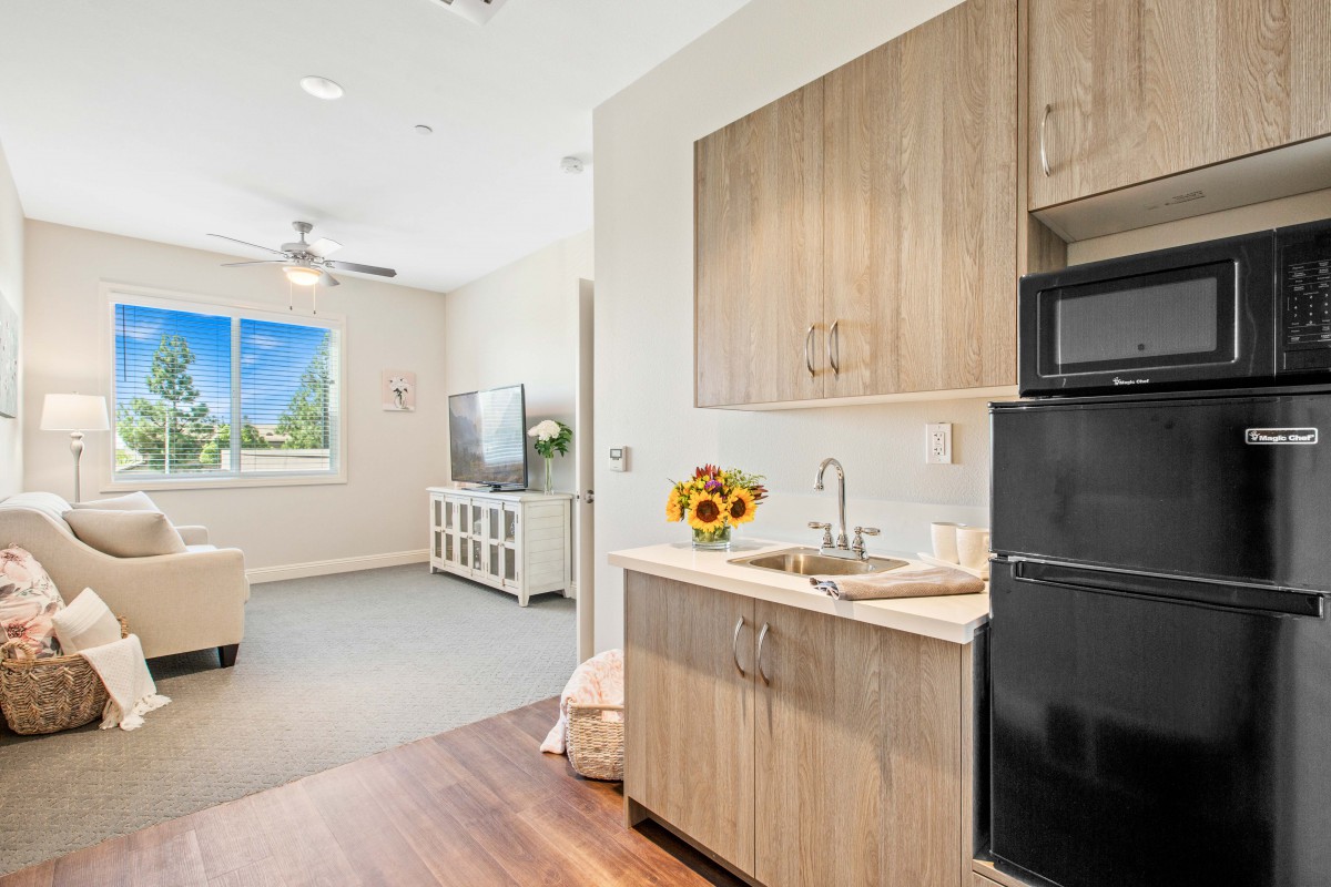 A modern apartment interior featuring a kitchenette and living room with contemporary decor.