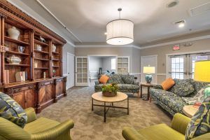 Cozy living room with sofas, bookshelf, and decorative elements.