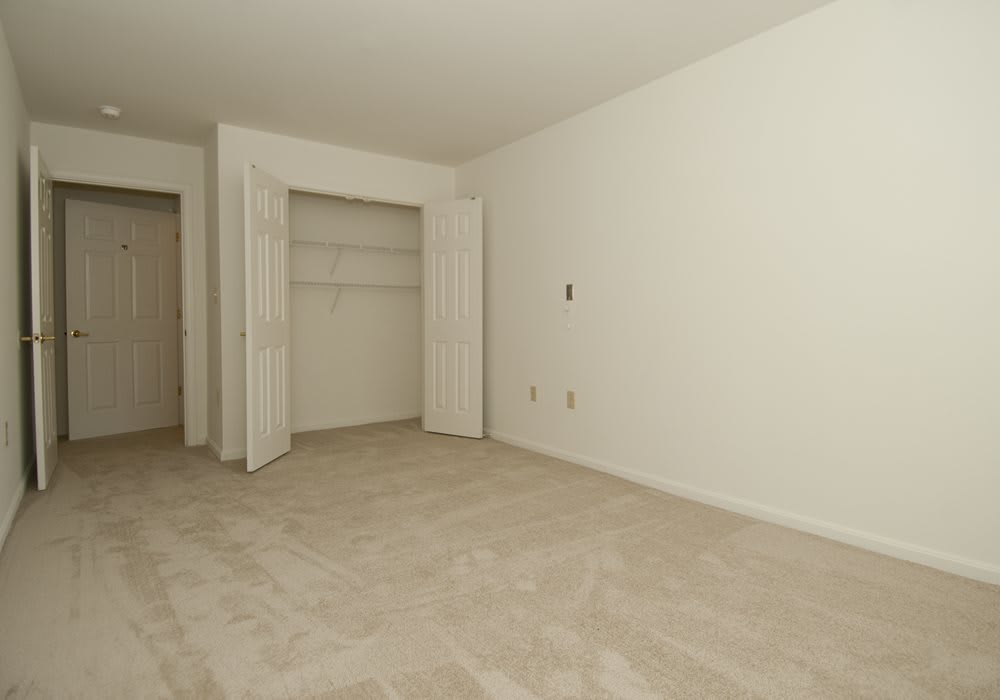 An empty room with white walls and a carpeted floor, featuring an open closet.