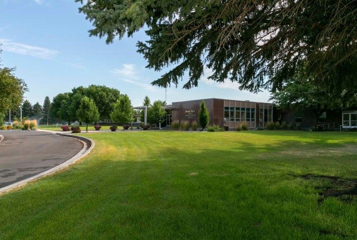 A well-maintained lawn in front of a brick building, surrounded by trees and a driveway under a clear sky.
