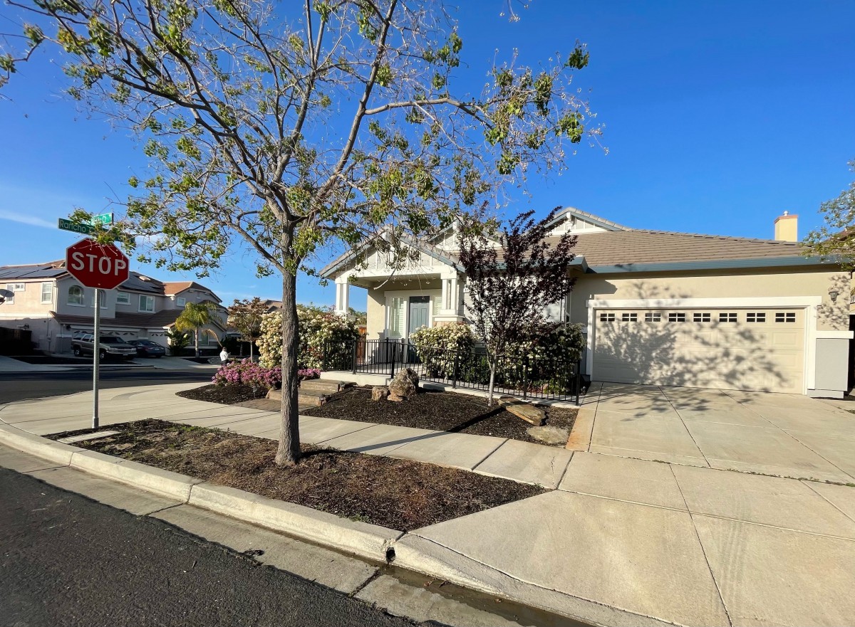 A suburban house with a driveway and a tree in the front yard on a clear day.
