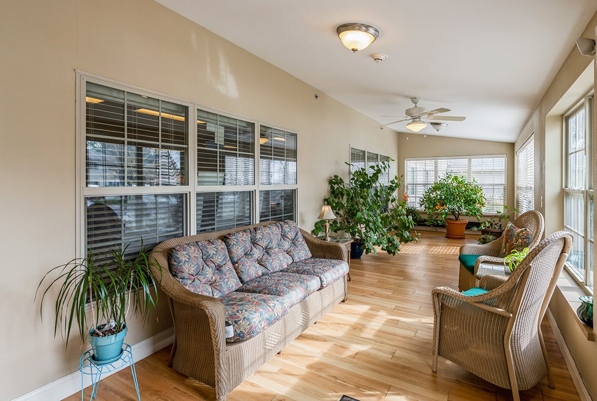 A cozy living room with a sofa, abundant indoor plants, and large windows letting in natural light.