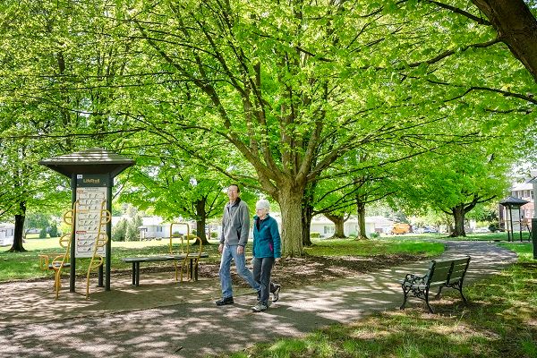 Two people walking in a lush green park under the shade of large trees.
