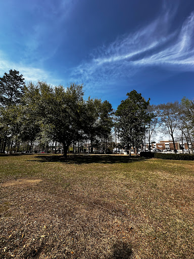 A serene view of a park featuring lush trees under a beautiful blue sky.