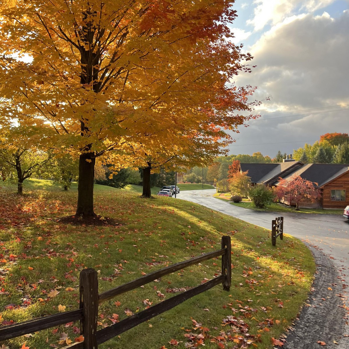 The Homesteader