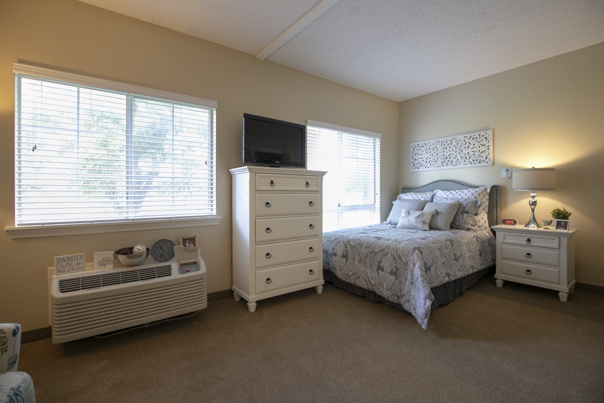 A cozy bedroom with a bed, dresser, and television, illuminated by natural light from two windows.