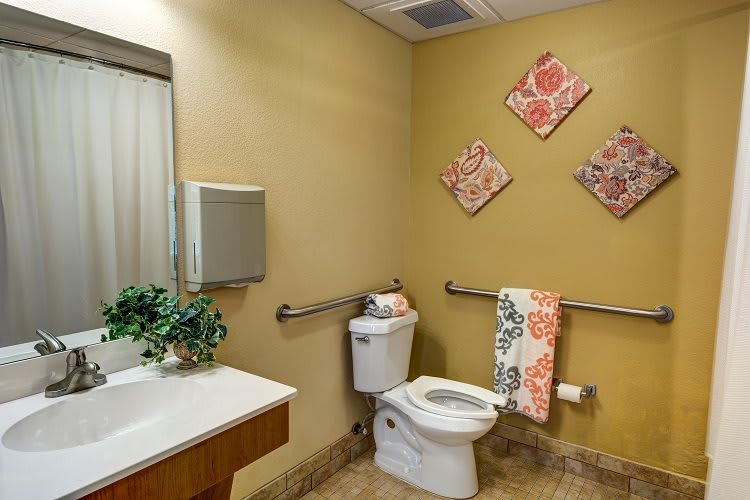 A well-decorated bathroom with a toilet, sink, and mirror, featuring decorative wall art and handrails for accessibility.