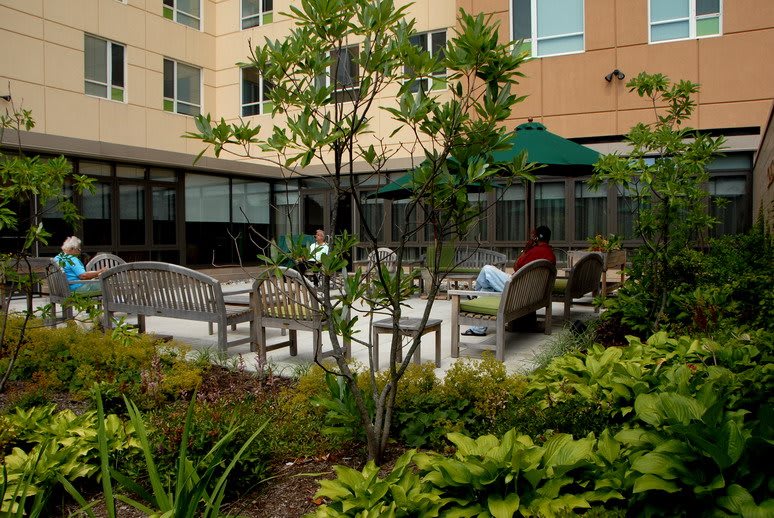 A well-maintained outdoor garden with seating areas and lush greenery next to a building.