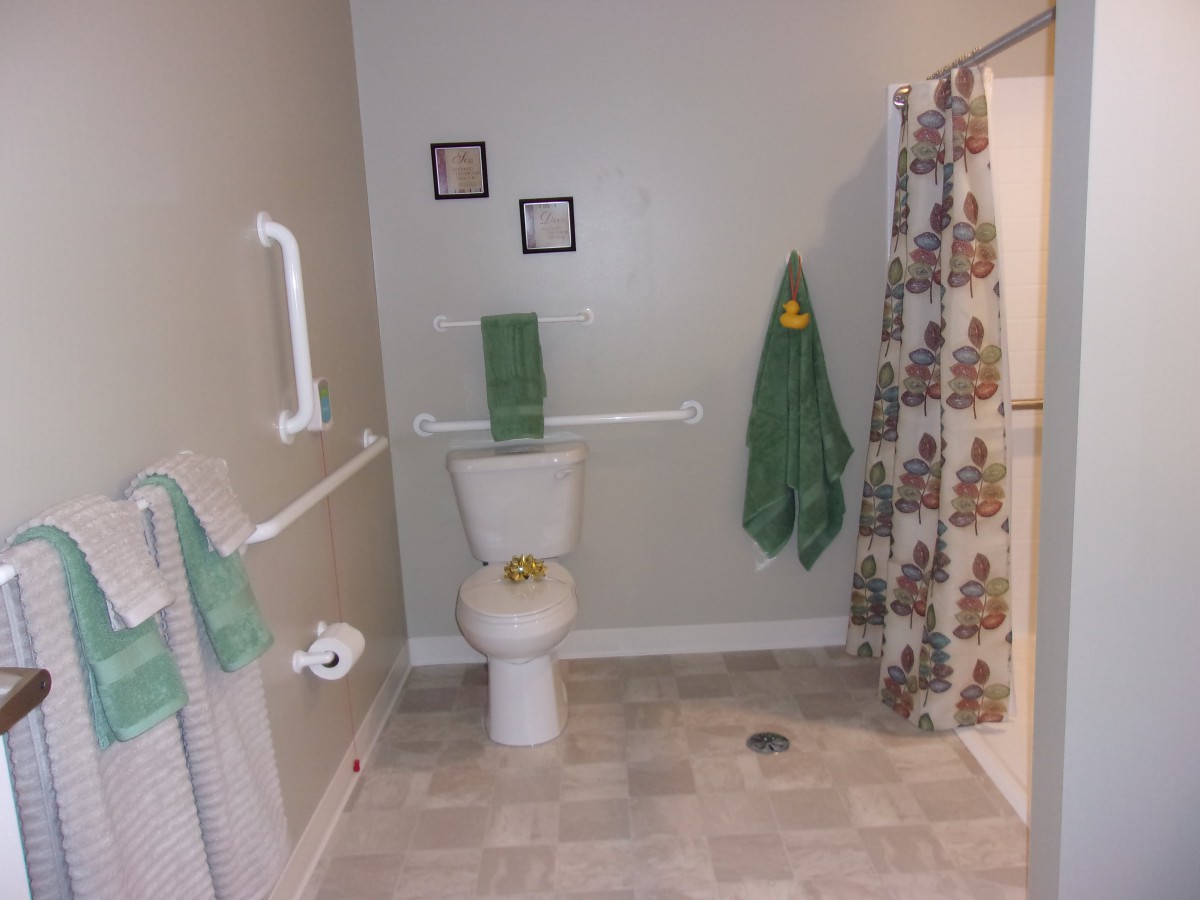 An accessible bathroom with handrails and a shower curtain.