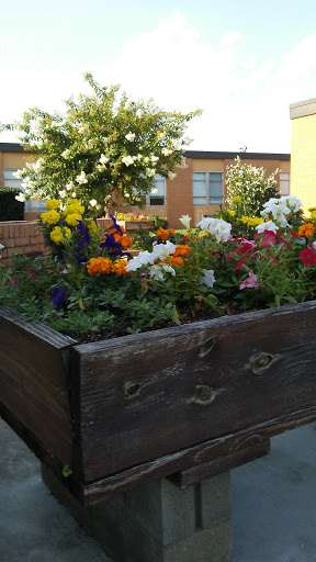 A vibrant flower garden blooming in a wooden planter.