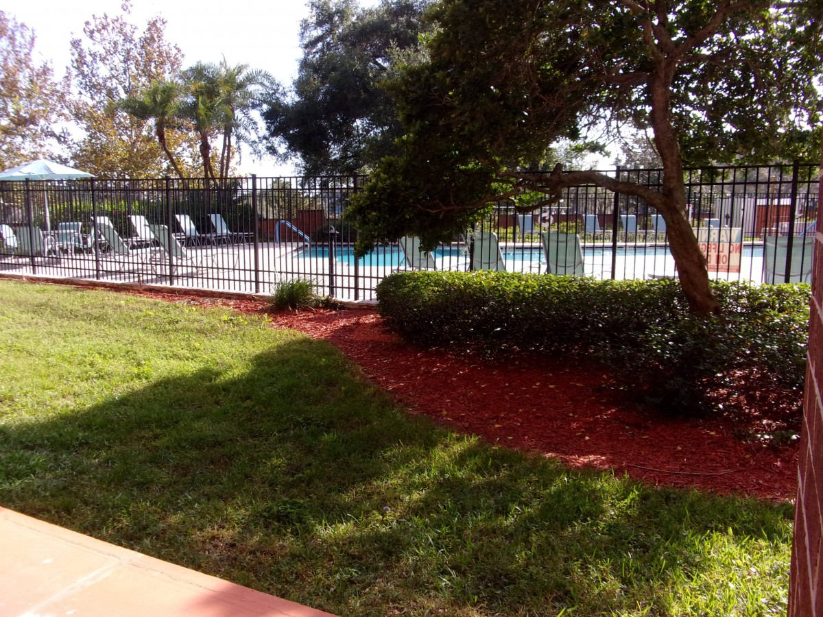 A fenced swimming pool area with lounge chairs, surrounded by greenery and landscaping.