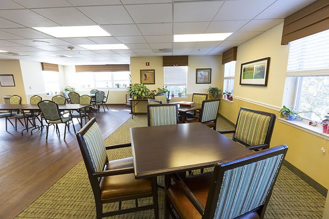 A spacious and well-lit dining area with tables and chairs, decorated with plants and artwork.