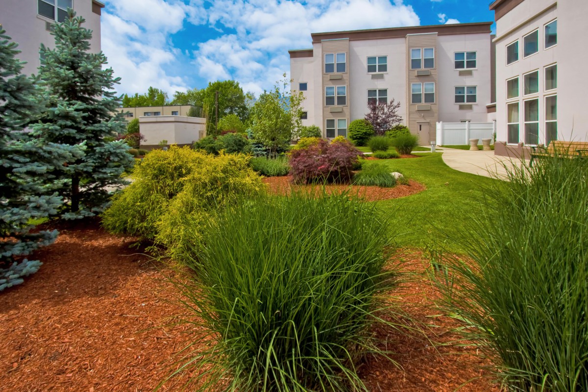 A beautifully landscaped garden area with a variety of plants and shrubs in front of a modern building.