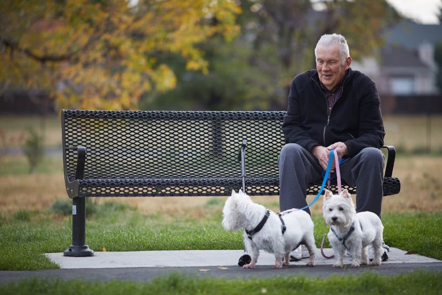 A man sits on a park bench with two small dogs on leashes during an autumn day.