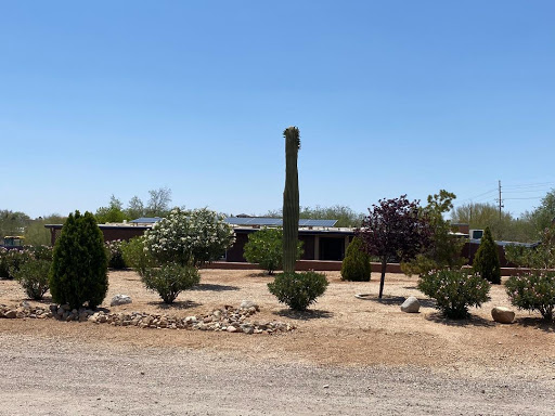 A serene desert landscape featuring a tall cactus and various plants against a clear blue sky.