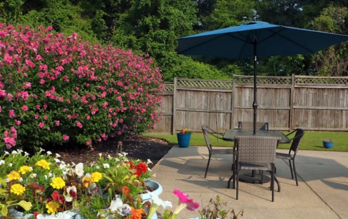 A cozy backyard patio with an umbrella, table, and chairs surrounded by vibrant flowers and greenery.