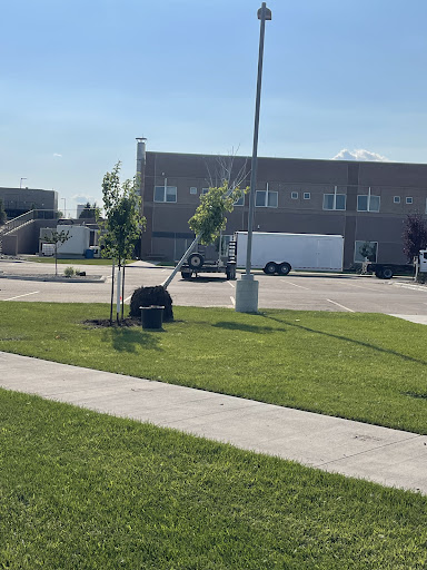 A view of a grassy area with trees and a sidewalk in front of a building.