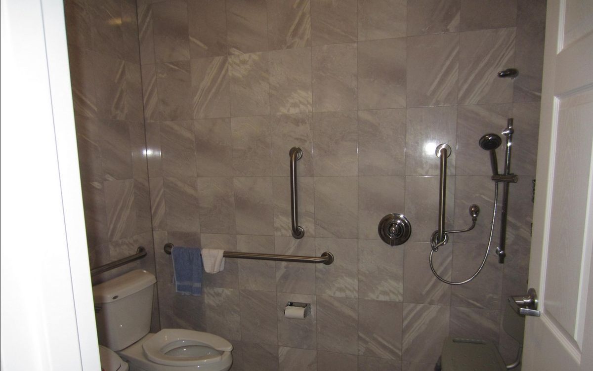 An accessible bathroom featuring grab bars and a shower area.