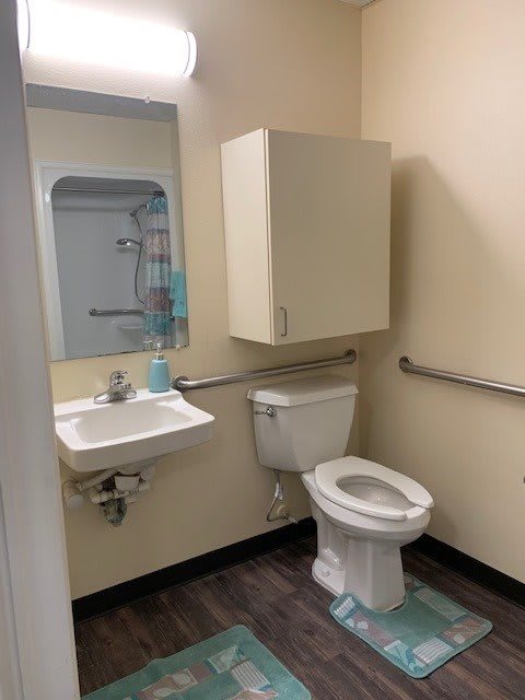 A bathroom with a toilet, sink, and handrails for accessibility.
