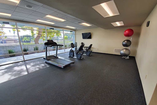 A well-lit gym equipped with a treadmill, exercise bikes, and weights, offering a view of the outdoors.