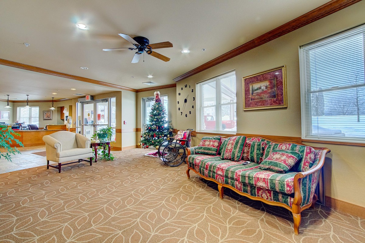 A warmly decorated living room featuring a Christmas tree and patterned sofas.