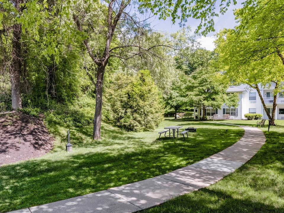 A scenic pathway surrounded by lush greenery and trees on a sunny day.