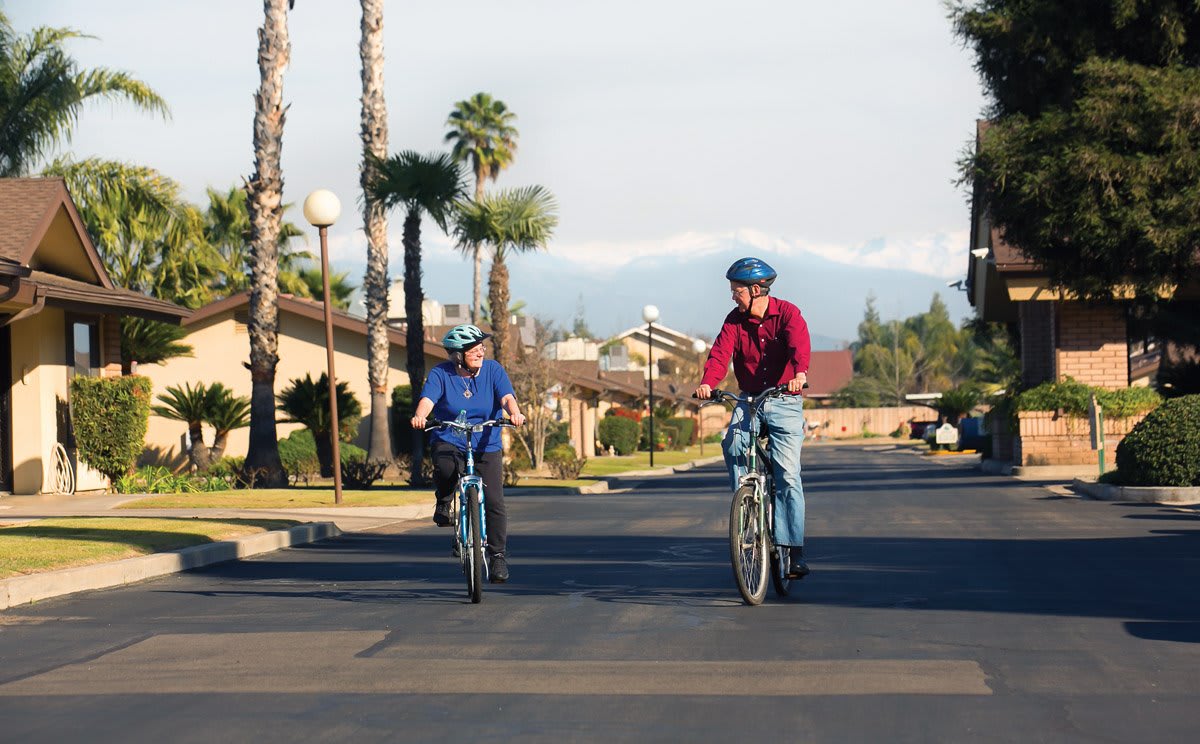 Two people cycling on a palm tree-lined street.