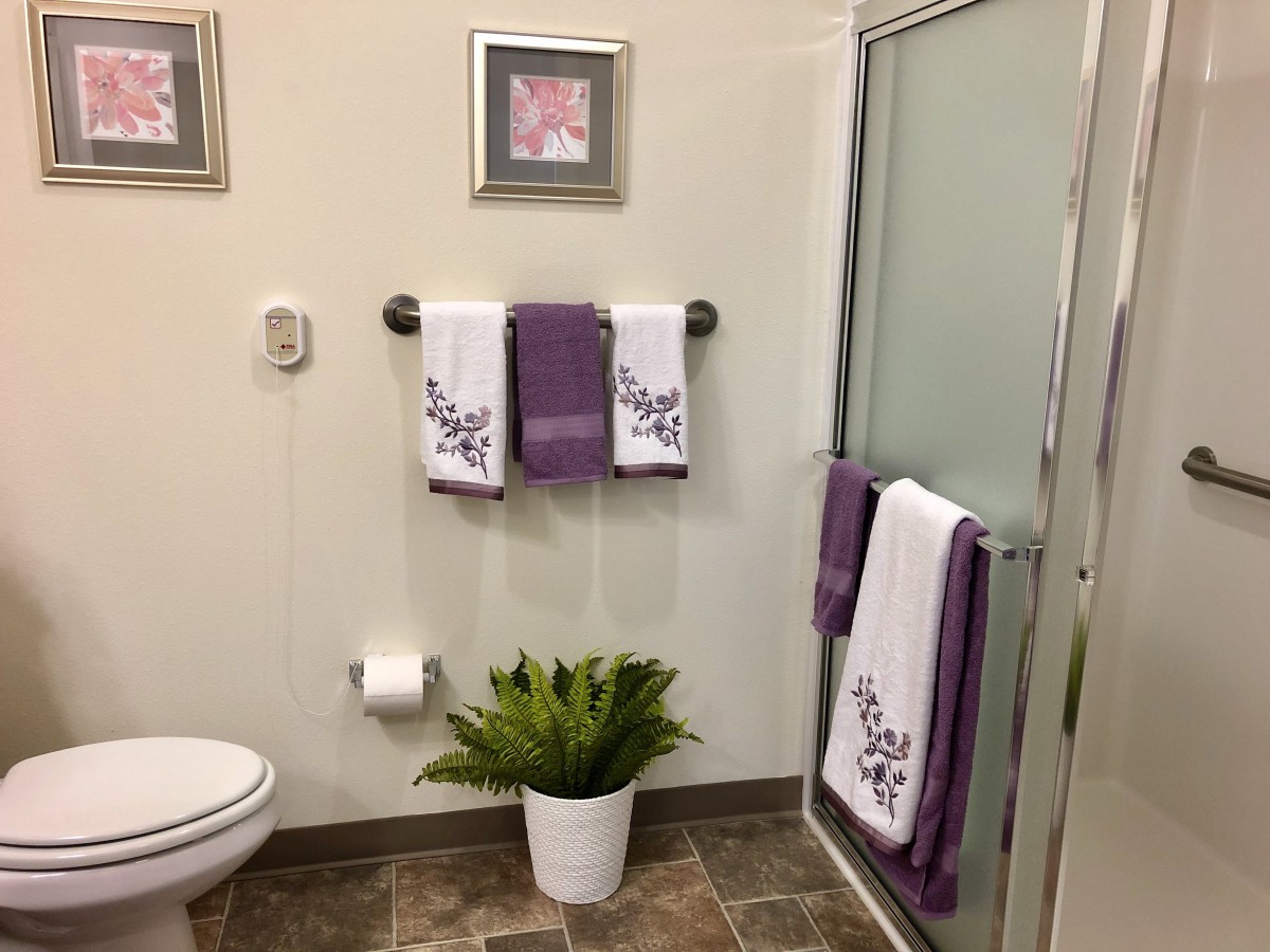 A neatly arranged bathroom with purple and white towels, a potted plant, and framed pictures.