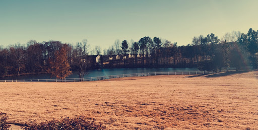 A serene landscape featuring a calm river bordered by trees and open grassy fields, bathed in warm sunlight.