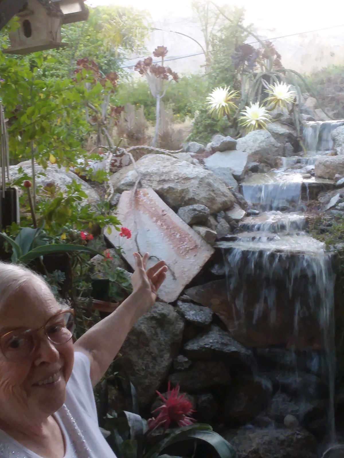 A person with glasses holding a book near a waterfall surrounded by plants.
