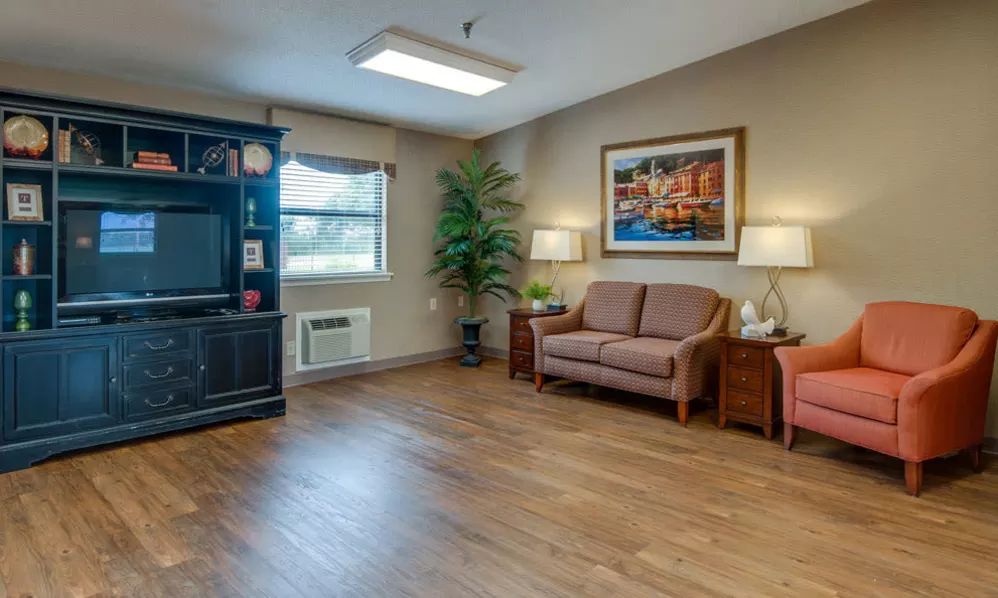 A cozy living room with a sofa, television, and decorative plants.