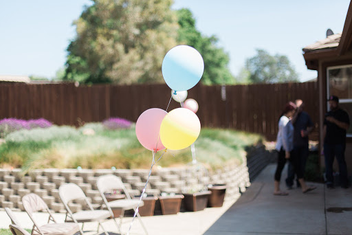A cheerful display of pastel balloons floating in the sun, adding a festive touch to an outdoor gathering.