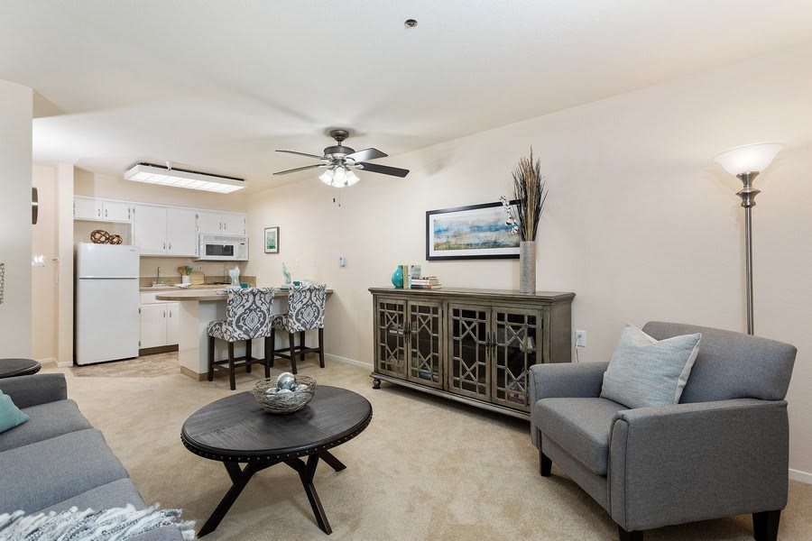 A modern open-concept living room with a kitchen area, featuring stylish furniture and decor.