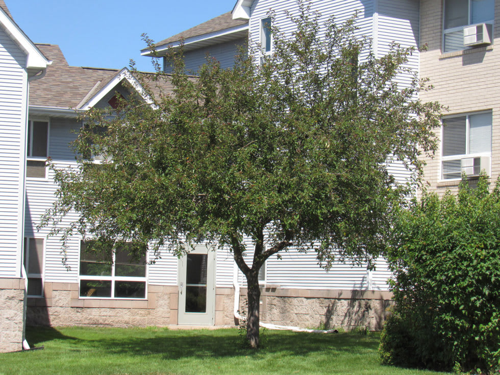 Royce Place