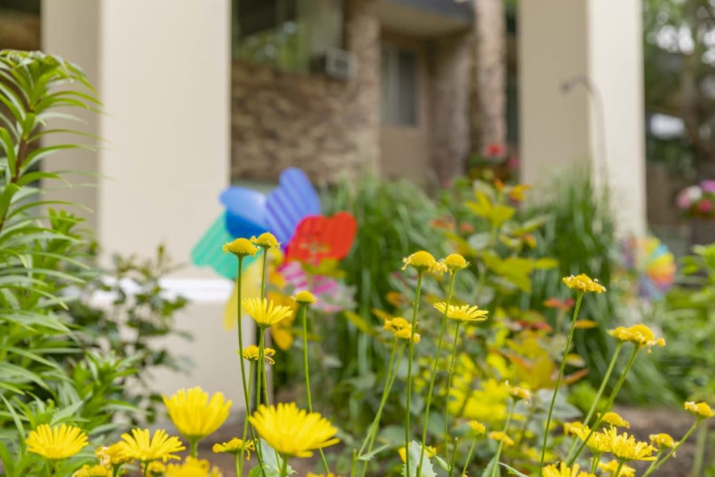 A vibrant garden with yellow flowers and a colorful pinwheel in the background.