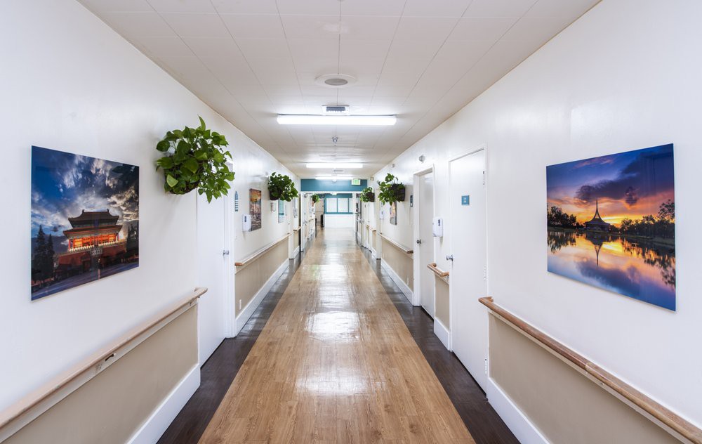 A well-lit hallway with plants and decorated walls.