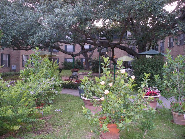 Treemont Retirement Community