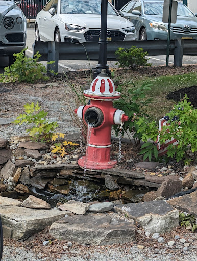 A decorative fire hydrant surrounded by a stone arrangement and greenery, serving as a unique water feature in the landscape.