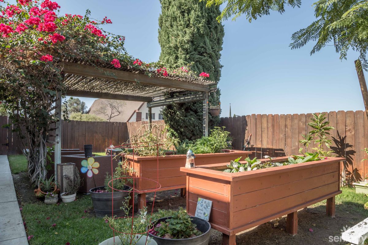 A charming backyard garden featuring raised wooden planters under a pergola with vibrant flowers.