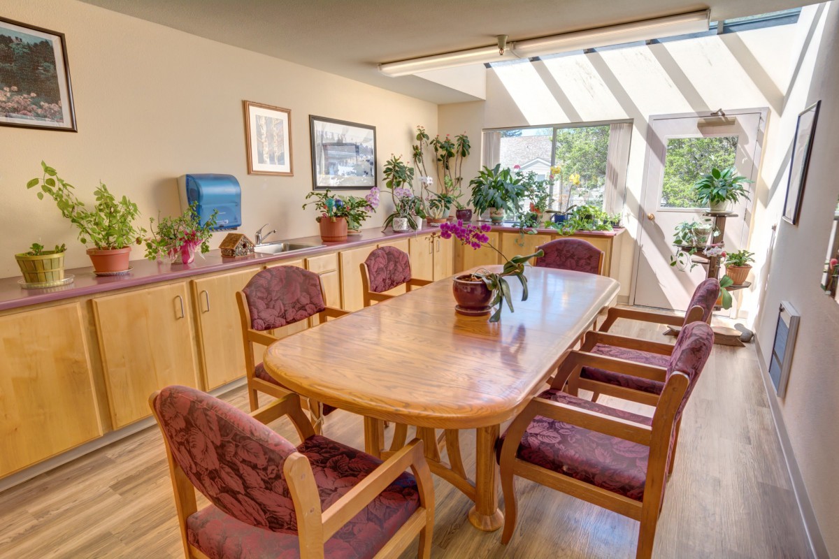 A cozy dining room filled with sunlight and decorated with various plants.