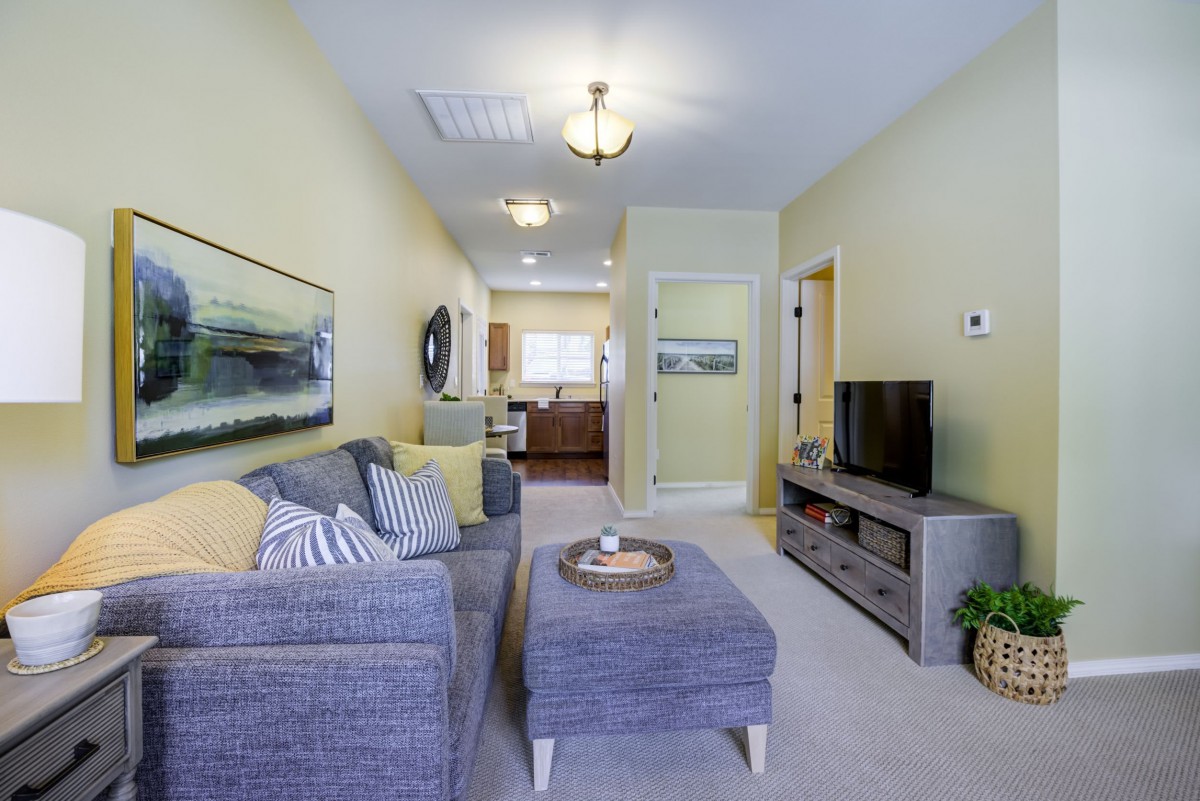 A cozy and well-decorated living room featuring a comfortable sofa, television, and stylish artwork.