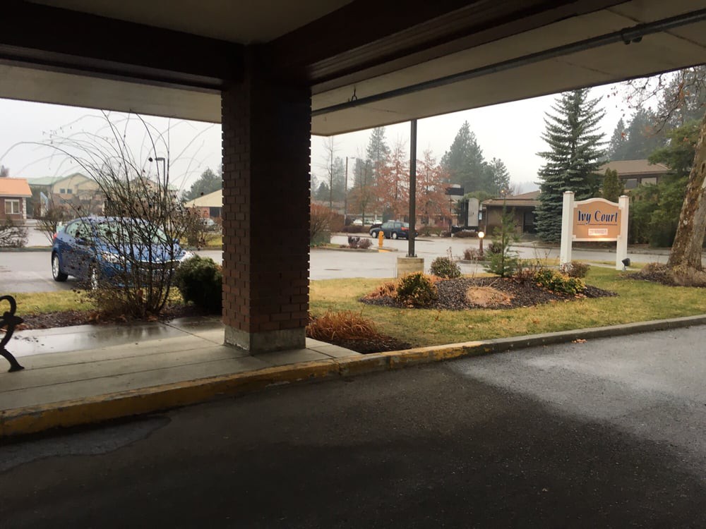 A covered area overlooking a parking lot with trees and a building in the background on an overcast day.