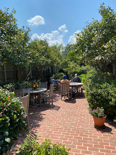 A serene garden patio filled with greenery, where people are enjoying a sunny day.