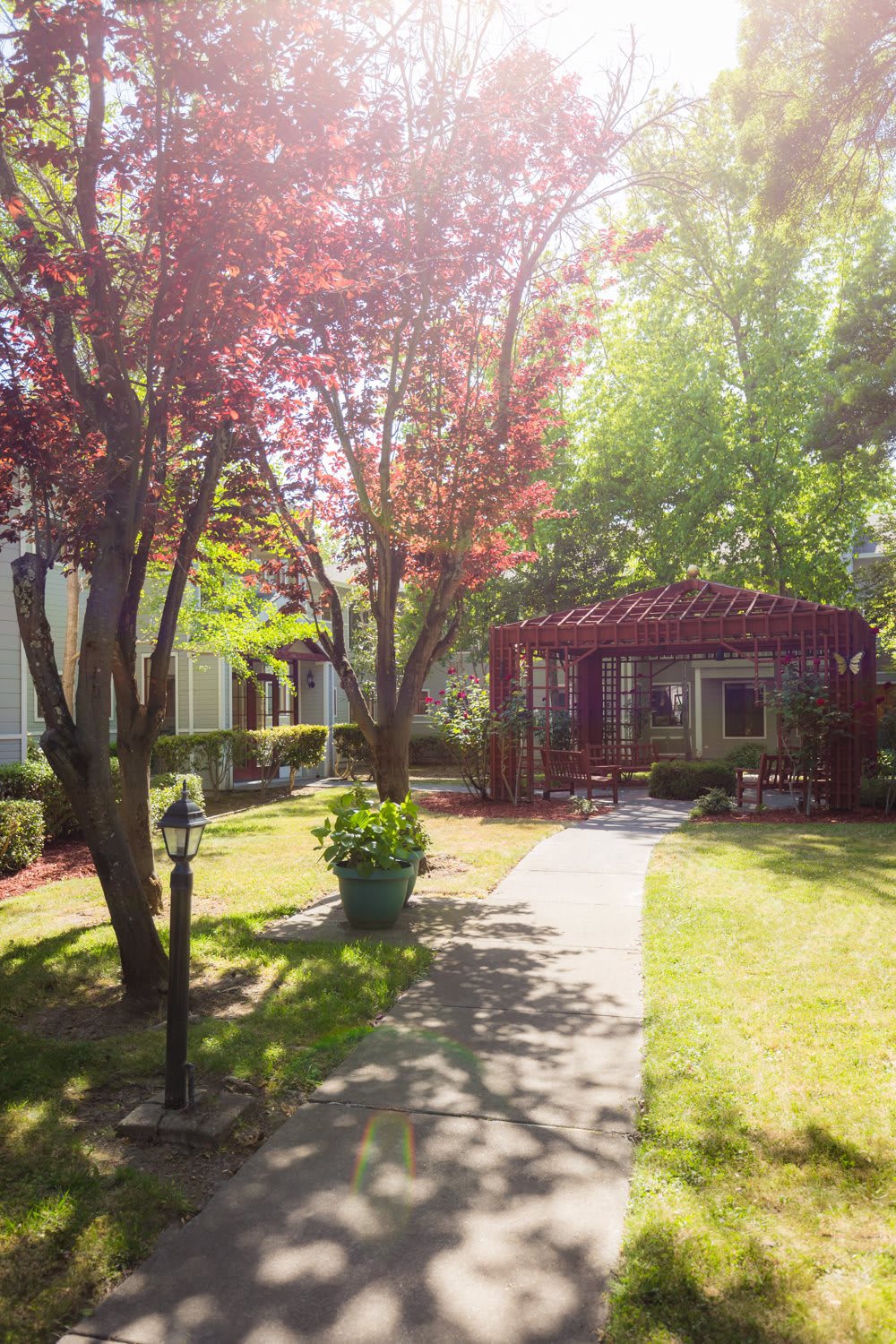 A sunlit garden features a charming gazebo surrounded by trees and a well-maintained pathway.