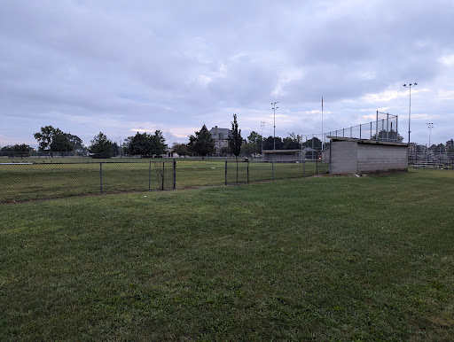 A tranquil park scene featuring a grassy field and cloudy skies.