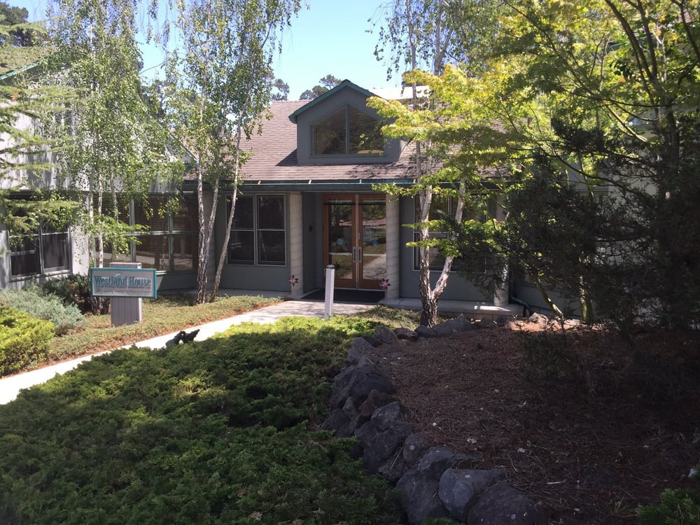 A charming house surrounded by lush greenery on a sunny day.