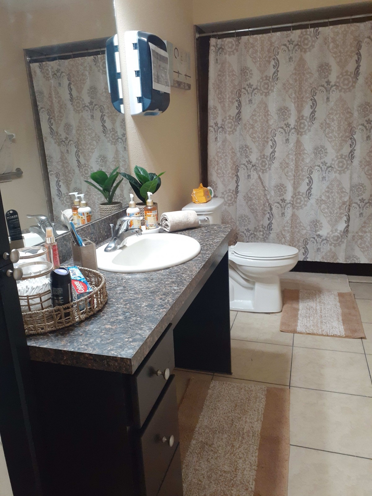 A modern bathroom with a countertop sink, decorative plants, and neatly arranged toiletries.